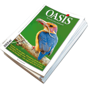 Abbonamento OASIS 6 numeri