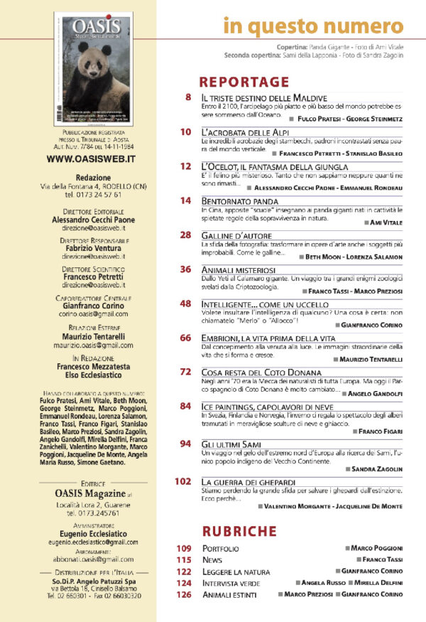 Volume 230 - immagine 2