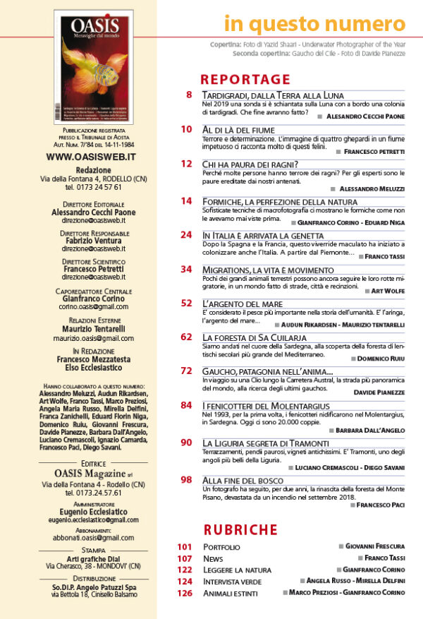 Volume 231 - immagine 2
