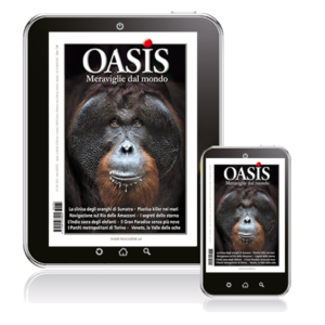 Volume 234 a solo € 3.90
